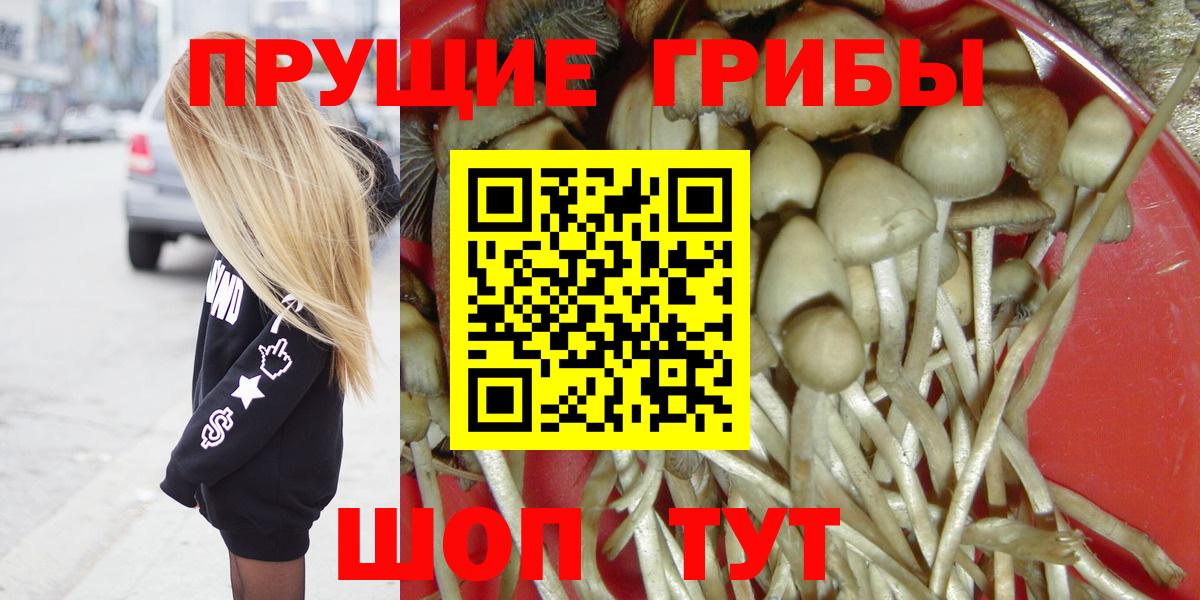 Королёв  Галлюциногенные грибы прущие грибы  Вход с VPN 