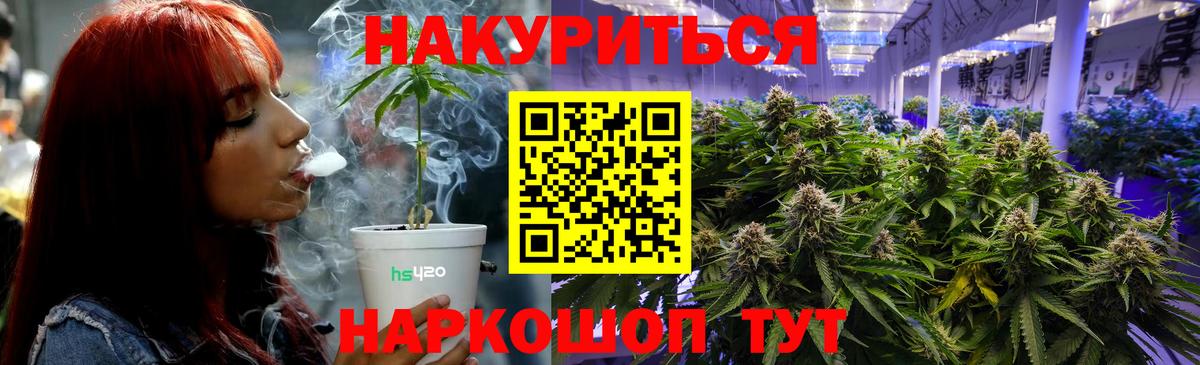 Конопля сатива Королёв